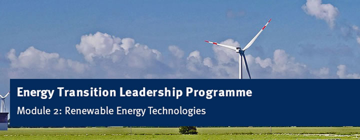 Energy Transition Leadership Programme – M2 – Renewable Energy Technologies