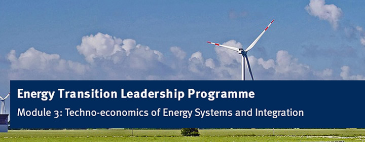 Energy Transition Leadership Programme – M2 – Renewable Energy Technologies